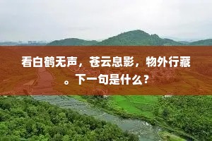 看白鹤无声，苍云息影，物外行藏。下一句是什么？