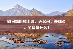 斜日绿阴枝上噪，还又问，是蝉么。全诗是什么？