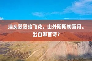 墙头簌簌暗飞花，山外阴阴初落月。出自哪首诗？