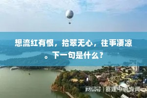 想流红有恨，拾翠无心，往事凄凉。下一句是什么？