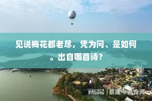 见说梅花都老尽,凭为问、是如何。出自哪首诗? 见说梅花都老尽,凭为问、是如何。出自哪首诗?