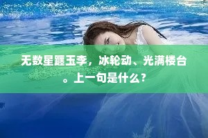 无数星躔玉李，冰轮动、光满楼台。上一句是什么？