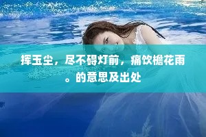 挥玉尘，尽不碍灯前，痛饮檐花雨。的意思及出处