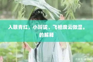 入眼青红，小玲珑、飞檐度云微湿。的解释