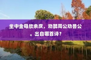 坐中金母欣余庆，劝醉周公劝鲁公。出自哪首诗？