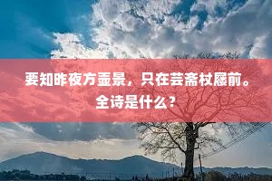 要知昨夜方壶景，只在芸斋杖屦前。全诗是什么？