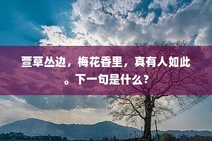 萱草丛边，梅花香里，真有人如此。下一句是什么？