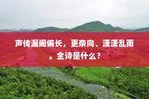 声传漏阁偏长，更奈向、潇潇乱雨。全诗是什么？