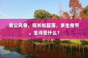 看公风骨，似长松磊落，多生奇节。全诗是什么？