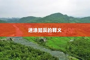 迷涂知反的释义