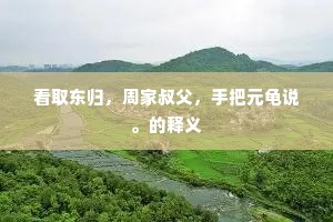 看取东归，周家叔父，手把元龟说。的释义