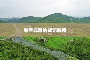靡然成风的成语解释