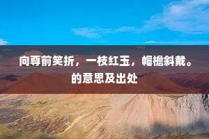 向尊前笑折，一枝红玉，帽檐斜戴。的意思及出处