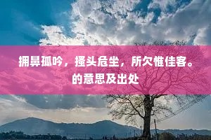 拥鼻孤吟，搔头危坐，所欠惟佳客。的意思及出处