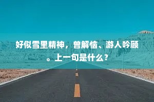 好似雪里精神，曾解恼、游人吟顾。上一句是什么？