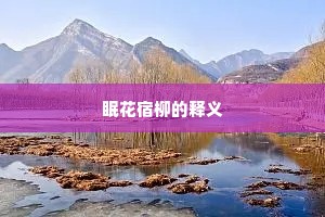 眠花宿柳的释义