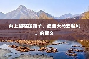 海上蟠桃留结子，渥洼天马去追风。的释义