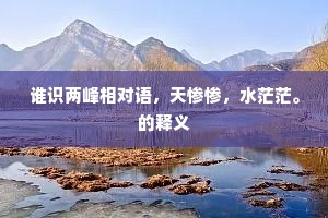 谁识两峰相对语，天惨惨，水茫茫。的释义