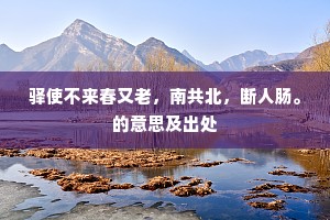 驿使不来春又老，南共北，断人肠。的意思及出处