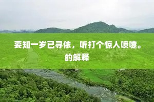 要知一岁已寻侬，听打个惊人喷嚏。的解释