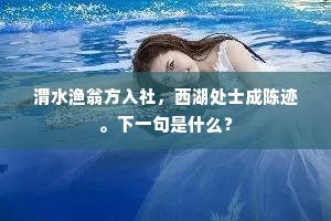 渭水渔翁方入社，西湖处士成陈迹。下一句是什么？