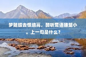 梦随蝶去恨墙高，醉听莺语嫌笼小。上一句是什么？