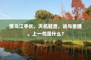 恨乌江亭长，天机轻泄，说与重瞳。上一句是什么？