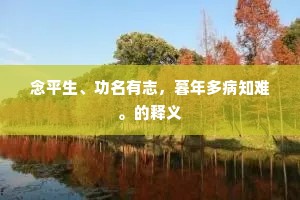 念平生、功名有志，暮年多病知难。的释义