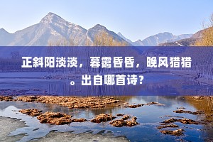 正斜阳淡淡，暮霭昏昏，晚风猎猎。出自哪首诗？
