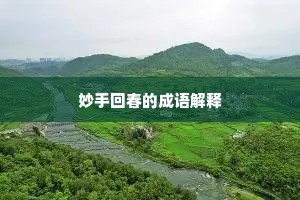 妙手回春的成语解释