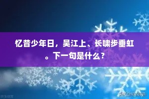 忆昔少年日，吴江上、长啸步垂虹。下一句是什么？
