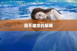 民不堪命的解释