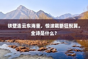 铁壁连云东海重，惊波截断狂鲵翼。全诗是什么？