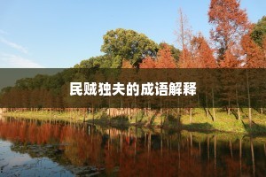 民贼独夫的成语解释