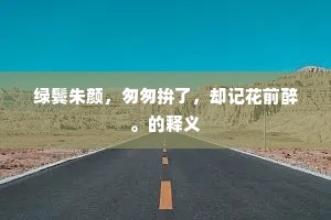 绿鬓朱颜，匆匆拚了，却记花前醉。的释义