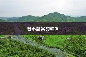 名不副实的释义