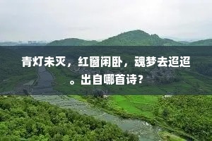 青灯未灭，红窗闲卧，魂梦去迢迢。出自哪首诗？