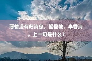 薄情漫有归消息，鸳鸯被、半香消。上一句是什么？