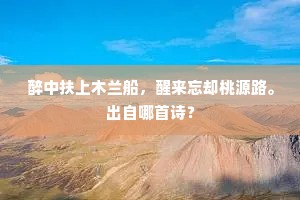 醉中扶上木兰船，醒来忘却桃源路。出自哪首诗？