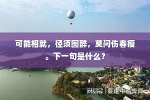 可能相就，径须图醉，莫问伤春瘦。下一句是什么？