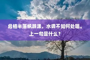 危樯半落帆游漾，水调不知何处唱。上一句是什么？