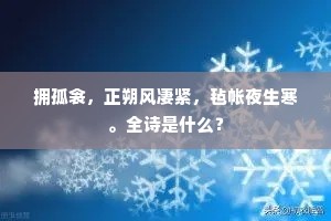 拥孤衾，正朔风凄紧，毡帐夜生寒。全诗是什么？