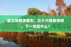 蠹尘珠网满香车，三十六桥春悄悄。下一句是什么？