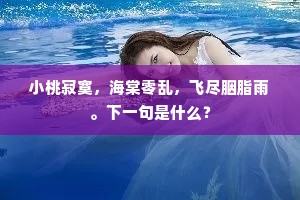 小桃寂寞，海棠零乱，飞尽胭脂雨。下一句是什么？