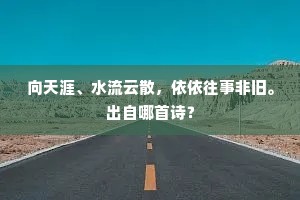 向天涯、水流云散，依依往事非旧。出自哪首诗？