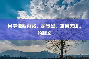 何事佳期再睹，翻怅望、重叠关山。的释义