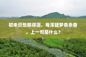 初未识愁那得泪，每浑疑梦奈余香。上一句是什么？