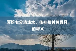 写照乍分清浅水，传神初付黄昏月。的释义