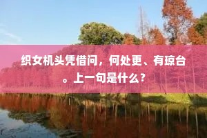 织女机头凭借问，何处更、有琼台。上一句是什么？
