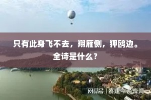 只有此身飞不去，翔雁侧，狎鸥边。全诗是什么？